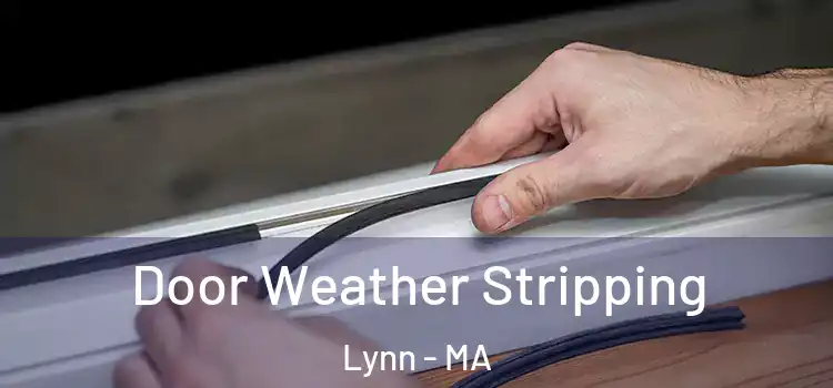  Door Weather Stripping Lynn - MA