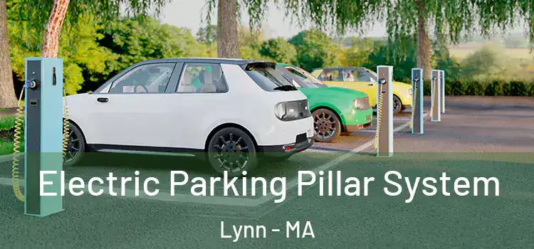  Electric Parking Pillar System Lynn - MA