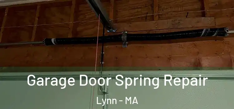  Garage Door Spring Repair Lynn - MA